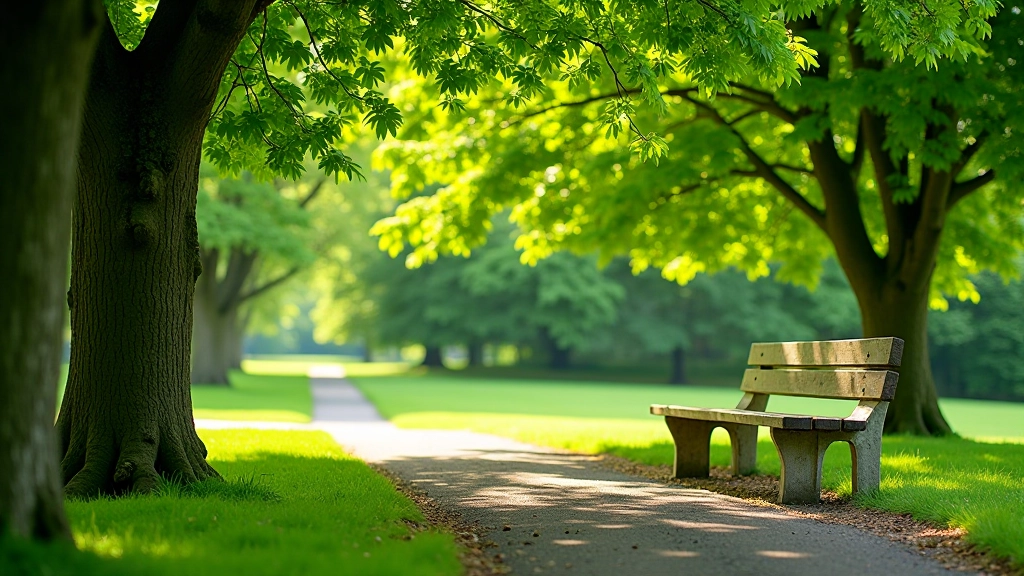Park bench in shaded area with trees overhead, peaceful seating area for rest breaks during walks